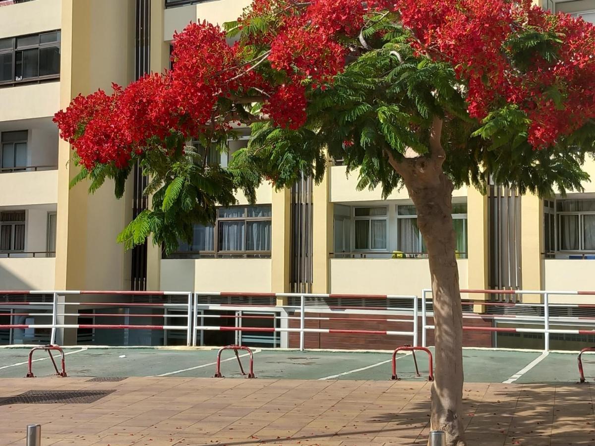 Tropical House Near Beach&Yumbo San Bartolome de Tirajana  Exterior photo